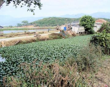 �_�Ɨp���H���O���̐����A���z�e�C�A�I�C�����ߐs�����i�ʐ^�j