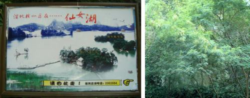 �受�΁i�ʐ^�j