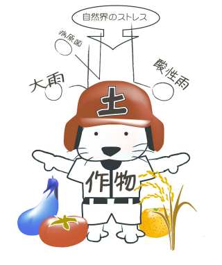 ýARẼXgXiaہA_JAJȂǁj앨Ă܂i}j