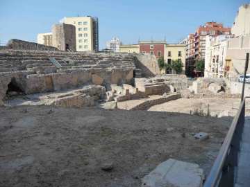 �^���S�i�̃R���V�A���i�ʐ^�j