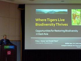 Phillip Nyhus ̍uiʐ^j