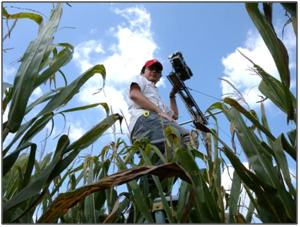 トウモロコシ畑に設置した観測装置のメンテナンス（写真）