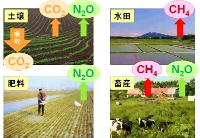 ４つの排出(吸収)源と温室効果ガスの関係： 土壌：CO2,N2O(排出)とCO2(吸収)、肥料：N2O(排出)、水田：CH4(排出)、畜産：CH4,N2O(排出) 