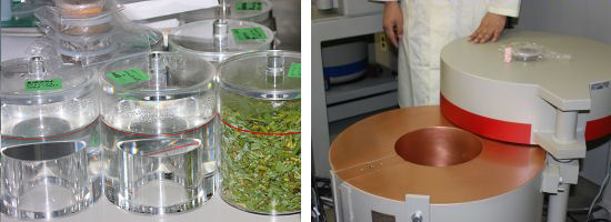 透明容器に入ったサンプル（細かく刻んだ作物、水など）が並べられている（左）／ゲルマニウム半導体検出器のフタを開くと、サンプルを格納する空間がある（右）（写真）
