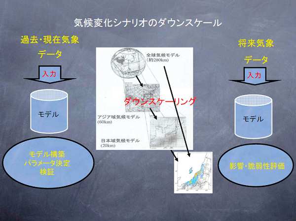 CωViĨ_EXP[F SC󃂃f(280km) → AWAC󃂃f(60km) → {C󃂃f(20km)^ߋE݂̋Cۃf[^𗘗pāAf\zAp[^A؁^̋Cۃf[^𗘗pāAeEƎ㐫]