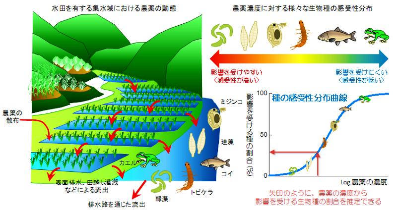 cLWɂ_̓ԁiu܂̎Uzv→u\ʔrAcz񂪂Ȃǂɂ闬ov→urHʂovAe󂯂鐶FJGE~WREPC\EERCEgrPEΑjG _Zxɑ΂邳܂܂Ȑ̊󐫕ziZxɑ΂銴󐫁FWiPC\Ej`POOiJGjA 󐫂̒Ⴂ킩珇ɑΐmzȐɕׂƁAZxɑ΂ĉeBj