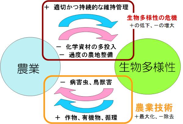 農業から生物多様性へ:適切かつ持続的な維持管理(+),化学資材の投入(-),過度の農地整備(-),「生物多様性の危機(+の低下,-の増大)」; 生物多様性から農業へ:病害虫・鳥獣害(-),作物・有機物・循環(+),「農業技術(+の最大化,-の除去)」 (連関図)