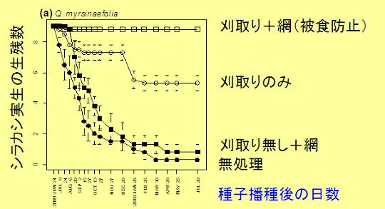 4通りの条件(A 刈取り+網(被食防止)、B 刈取り、C 刈取り無し+網、D 無処理)で生き残ったシラカシ実生の数を調査。1年後、Aでは9個体(全個体)が残ったが、Bは約半数、CとDではほぼ全滅した(グラフ)