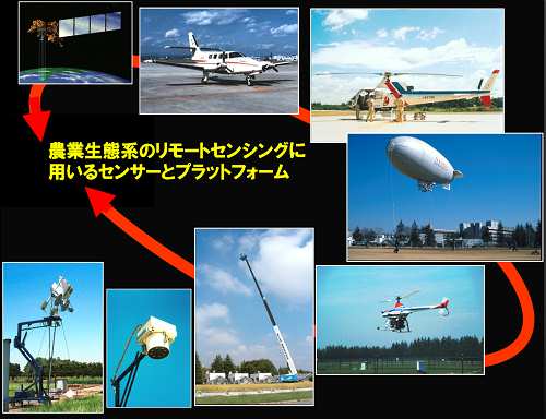 N[ɎtJA͌^wAϑpsDALlwA^s@AlHqiʐ^j