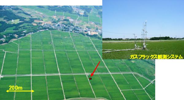 KXtbNXϑ̋_TCgiΎs^jiӂ̍qʐ^Ɗϑ@̎ʐ^j