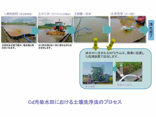 Jh~Ecɂy@̃vZXF@(1)܎{p(cň͂݁ASƗp)(2)͂(͂̐[ɕۂȂォ܂(Jh~Eo))(3)ÒuEr(4)(2`3)[򉻊]G@(3)(4)̔ŕAɐݒuuɑAJh~EA͕̐܂ (gݎʐ^)