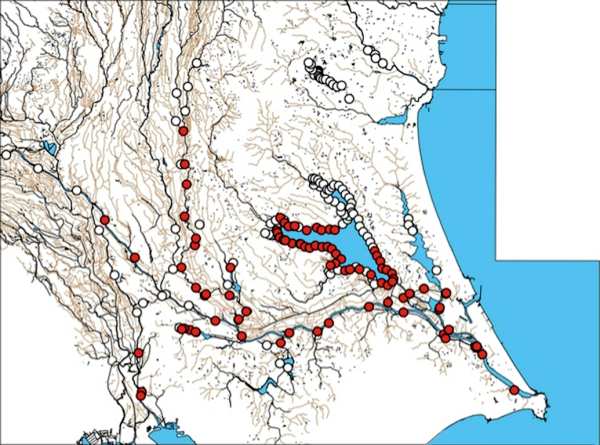 関東地域の水系図上に、カワヒバリガイを確認した場所と確認できていない場所をそれぞれ記入。霞ヶ浦の南側の湖岸、利根川の中流から河口付近などに分布するほか、東京都内でも発見されている。（地図）