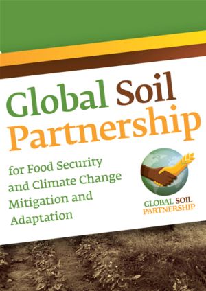 GSPЉqibrochurej̕\i摜j