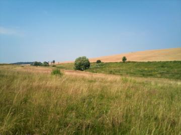 �������Ƒ��n�̕��i�i�ʐ^�j