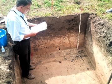 �n�ʂ��P���[�g���قǌ@�艺�����l�p�����Ƃ��̒��ɗ��l�G�n�\���琔�P�O�Z���`�܂łɍ��F�̓y�i�`�F���m�[�[���j���A���̉��ɂ͔����ۂ��y�i���X�y�j������i�ʐ^�j