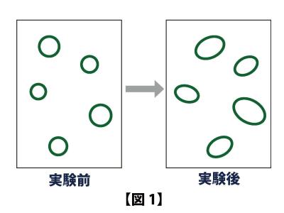 �}�P�G�����O�i���j�Ǝ�����i�E�j�̉ˋ󐶕��̂�����