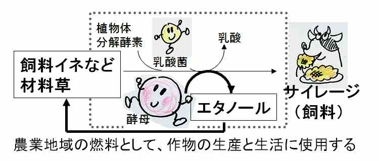 mClȂǍޗniÁEyfj_ۂ̓œ_ł^y̓ŁmG^m[nł遨_yłłTC[Wij͋̃GTɂȂ^G^m[͔_ƒn̔RƂč앨YƐɎgpji͎}j