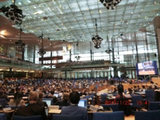 ��c��̂悤���iIPBES��P�񑍉�j�i�ʐ^�j