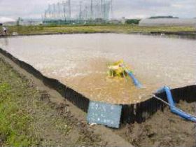 塩化鉄を薬剤とした土壌洗浄の工程（１）薬剤施用：水田周りに波板をめぐらし、塩化鉄を溶かした水を入れる（写真）