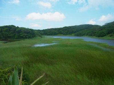 Nan-jen lake 自然公園の風景（写真）