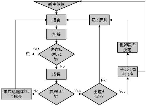 ���f���̊T�O�i�`���[�g�}�j