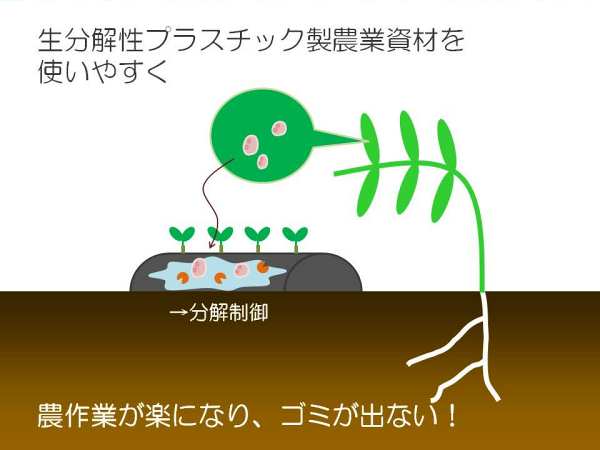 𐫃vX`bN_Ǝނg₷iTO}FAƗt̔AƂyfŔɂ鐶v}`𕪉j_ƂyɂȂAS~oȂI