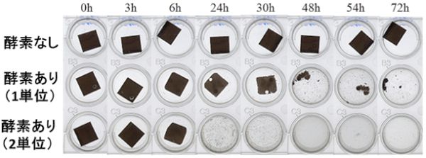 yfi1Pʁj̏ꍇF24ԂŌ48Ԃł΂΂ɂȂG yfi2Pʁj̏ꍇF24ԂŕɂȂ30Ԍɏ iyft̐ZЂ̌oߎʐ^j