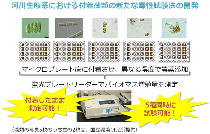 }CNv[g̒ɕtAقȂZxŔ_Y|uv[g[_[ŃoCI}XBʂ𑪒it܂ܑ\I^T퓯Ɏ\Ijiʐ^E}j