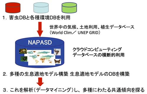 1.害虫DBと各種環境DBを利用（世界の気候、土地利用、植生DB）（クラウドコンピューティング、データベースの横断利用）→2.多種の生息適地モデル構築（生息適地DBを構築）「NAPASD」→3.これを解析（データマイニング）し、多種にわたる共通傾向を探る（作業フロー図）