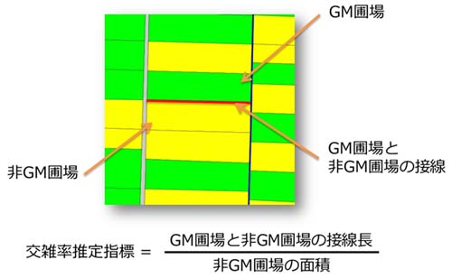 [GwW]  [GMޏƔGM ޏ̐ڐ] ^ [GMޏ̖ʐ]iޏTO}bvƐj