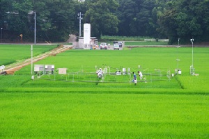 FACE（開放系大気CO2増加）実験施設