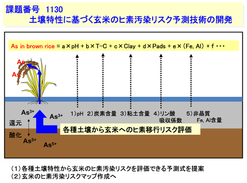 1130:土壌特性に基づく玄米のヒ素汚染リスク予防技術の開発