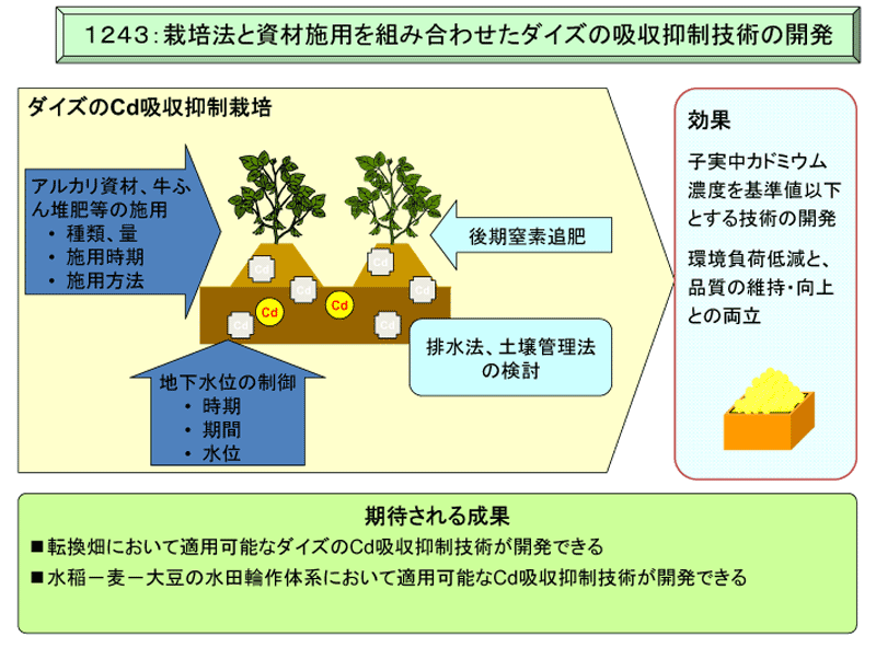 1243:栽培法と資材施用を組み合わせたダイズの吸収抑制技術の開発