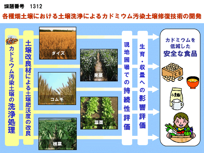 1210:カドミウム汚染転換畑土壌の土壌洗浄による修復技術の開発