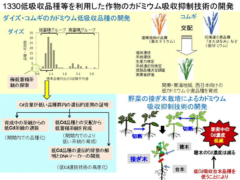 1210:カドミウム汚染転換畑土壌の土壌洗浄による修復技術の開発
