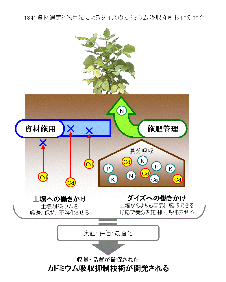 1210:カドミウム汚染転換畑土壌の土壌洗浄による修復技術の開発