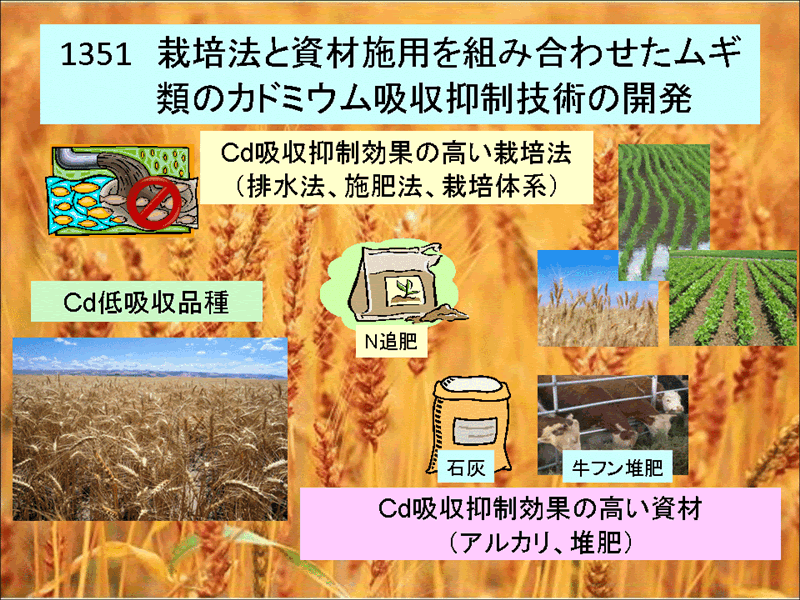 1210:カドミウム汚染転換畑土壌の土壌洗浄による修復技術の開発