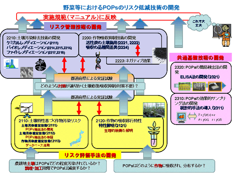 フードチェーンにおけるPOPsの暴露に関する評価技術の開発