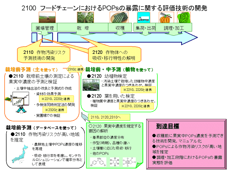 フードチェーンにおけるPOPsの暴露に関する評価技術の開発