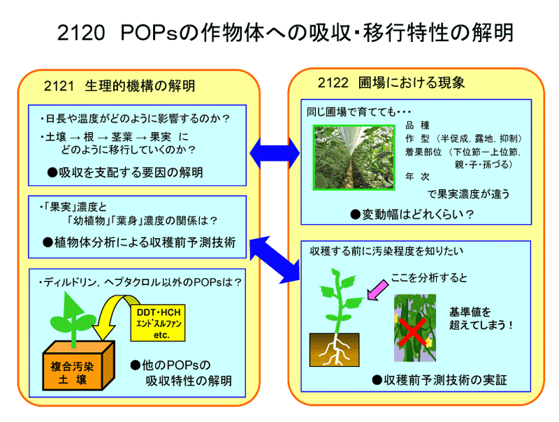 POPｓの作物体への吸収・移行特性の解明