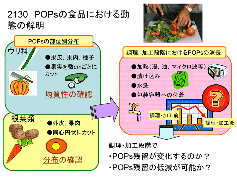 POPsの食品における動態の解明