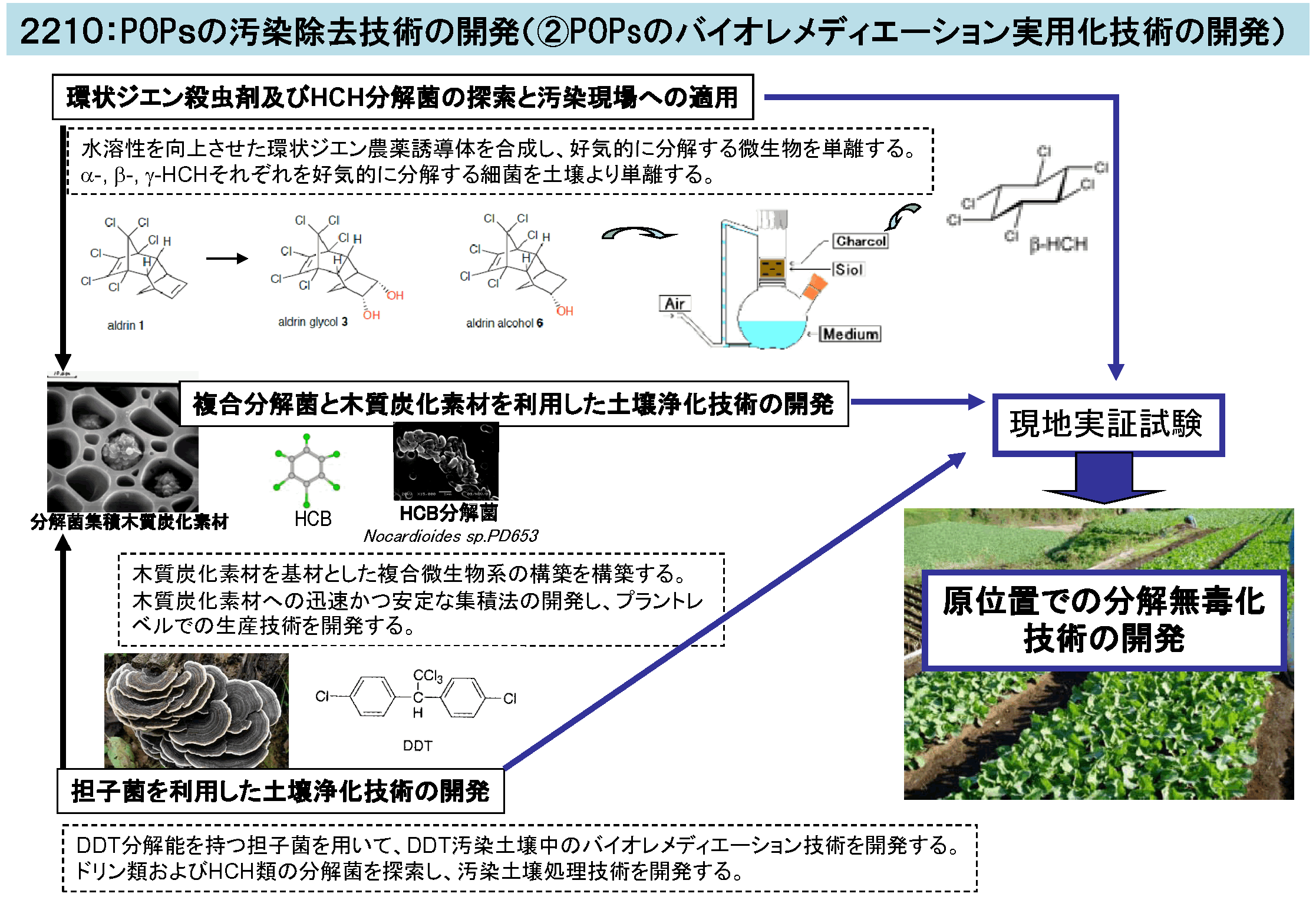 POPｓの汚染除去技術の開発（②POPsのバイオレメディエーション実用化技術の開発）