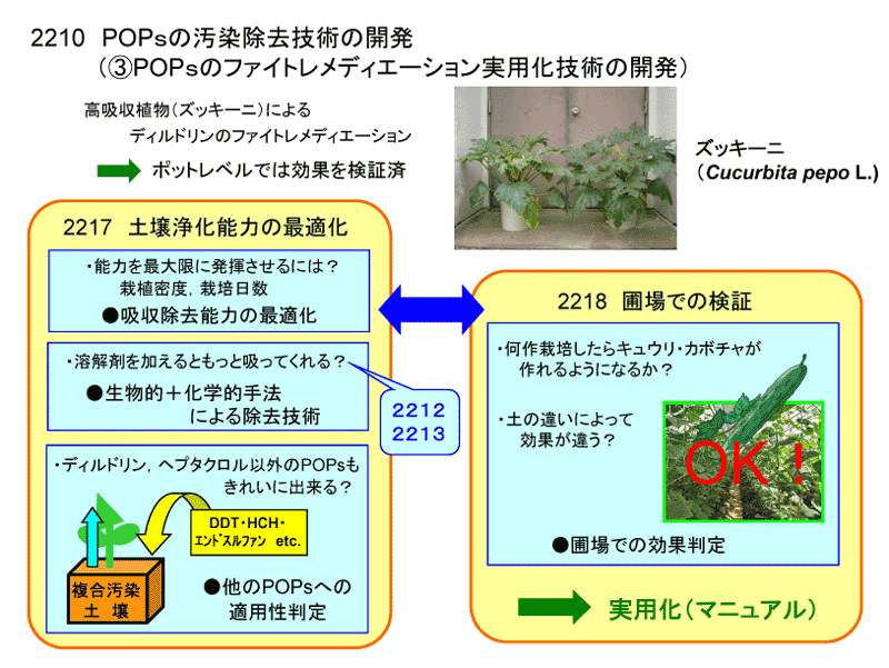 POPｓの汚染除去技術の開発（③POPｓのファイトレメディエーション実用化技術の開発））