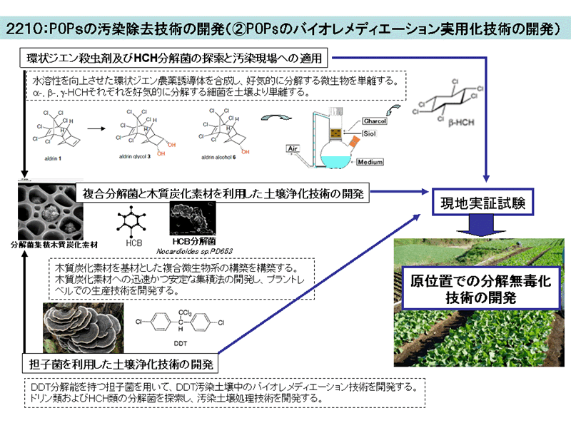フードチェーンにおけるPOPsの暴露に関する評価技術の開発