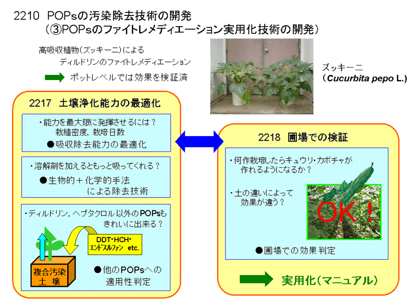 フードチェーンにおけるPOPsの暴露に関する評価技術の開発