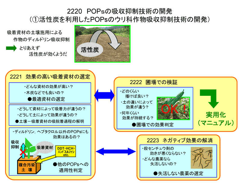 POPｓの吸収抑制技術の開発（①活性炭を利用したPOPsのウリ科作物吸収抑制技術の開発）
