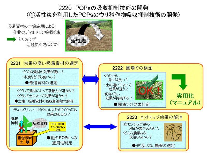 フードチェーンにおけるPOPsの暴露に関する評価技術の開発