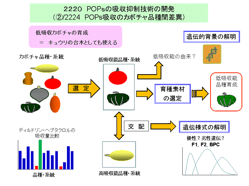 フードチェーンにおけるPOPsの暴露に関する評価技術の開発