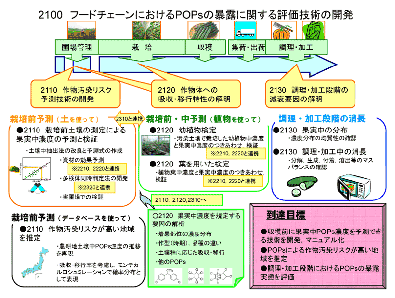 フードチェーンにおけるPOPsの暴露に関する評価技術の開発