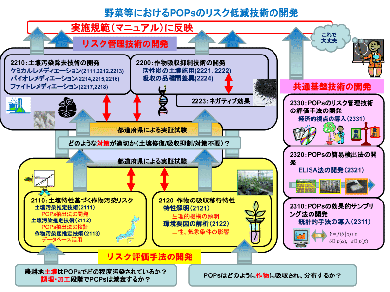 野菜におけるPOPｓのリスク低減技術の開発